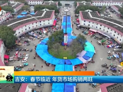 吉安：春节临近 年货市场购销两旺