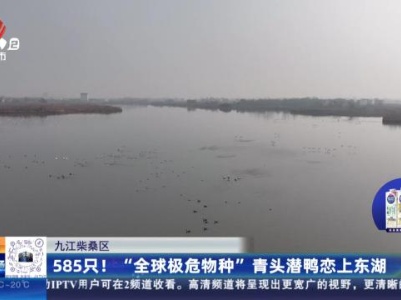 都市现场20240111