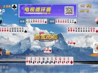 谁是赢家20240129