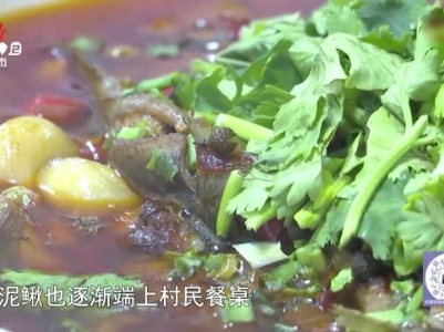 美食小课堂——麻辣鲜香“耙泥鳅”冬日餐桌“新标配”