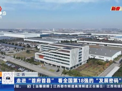都市现场20240126