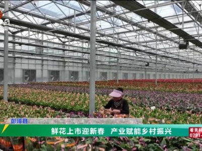 三农头条20240131