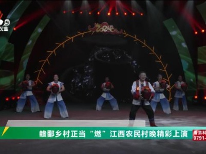 三农头条20240119