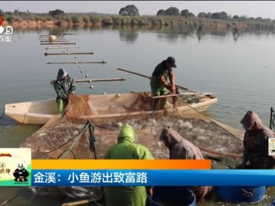 新闻晚高峰20240113