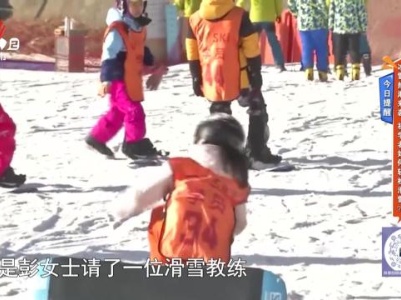 地宝当家20240111