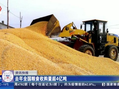 去年全国粮食收购量超4亿吨