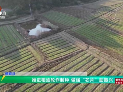 三农头条20240110