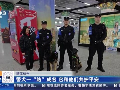浙江杭州：警犬一“站”成名 它和他们共护平安
