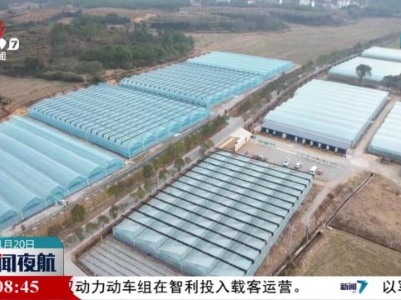 新闻夜航20240120