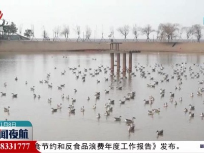 第三届鄱阳湖国际观鸟季上饶分会场在鄱阳县启动