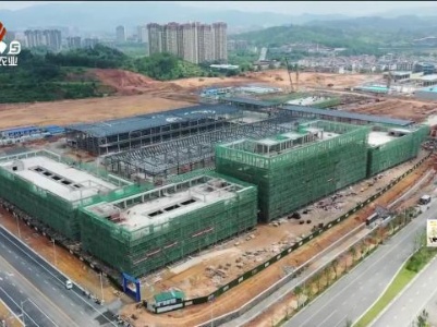 新闻晚高峰20240129