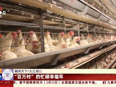 【赣闻天下】九江湖口：“百万村”的忙碌幸福年