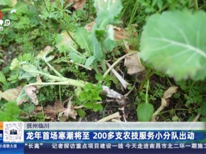 抚州临川：龙年首场寒潮将至 200多支农技服务小分队出动
