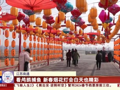 江苏南通：看鸬鹚捕鱼 新春烟花灯会白天也精彩