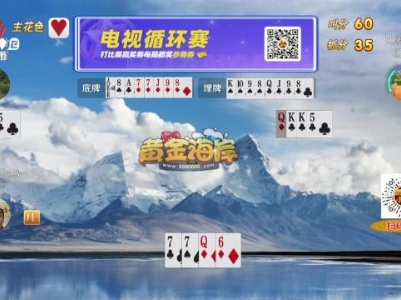 谁是赢家20240204