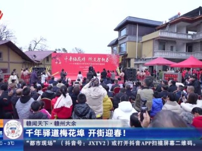 【赣闻天下】赣州大余：千年驿道梅花埠 开街迎春！