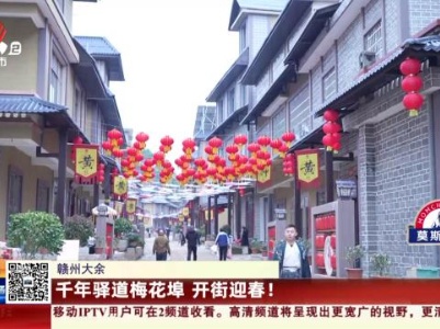 都市现场20240213