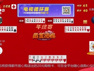 谁是赢家20240216