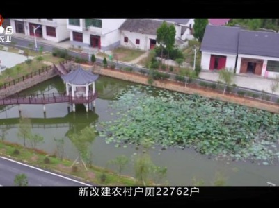 三农头条20240214