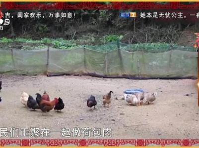 地宝当家20240213