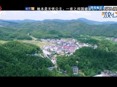 都市放心游·新年特别节目·城市篇：南昌的文艺复兴