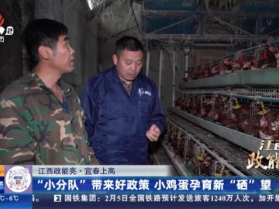 【江西政能亮】宜春上高：“小分队”带来好政策 小鸡蛋孕育新“硒”望