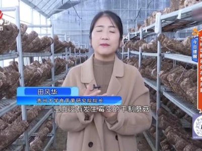 今日提醒——怎样选购和保存食用菌