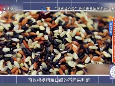 地宝当家20240205
