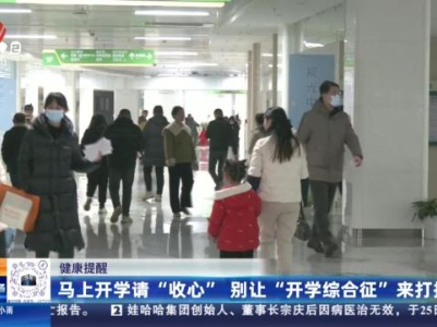 都市现场20240225
