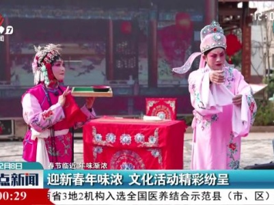 【春节临近 年味渐浓】迎新春年味浓 文化活动精彩纷呈