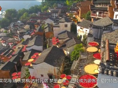 赣出精彩20240126