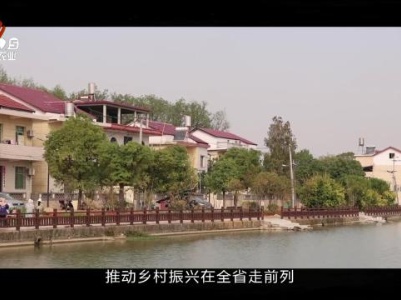 三农头条20240210