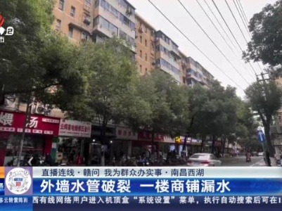 都市现场·午间版20240220