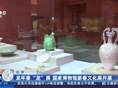 北京：龙年看“龙”展 国家博物馆新春文化展开展