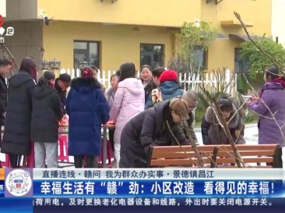 都市现场·午间版20240208