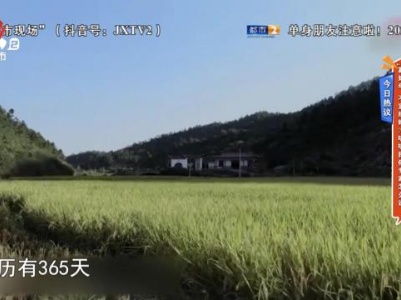 今日热议——“寡妇年”不宜结婚？听听民俗专家怎么说
