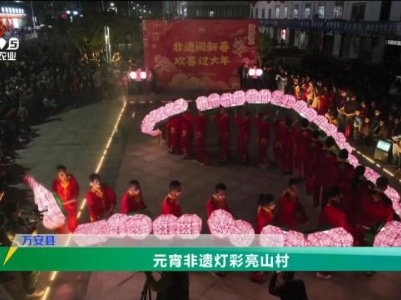 三农头条20240224