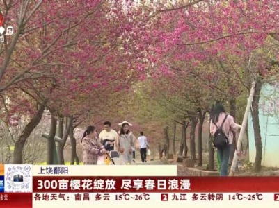 上饶鄱阳：300亩樱花绽放 尽享春日浪漫