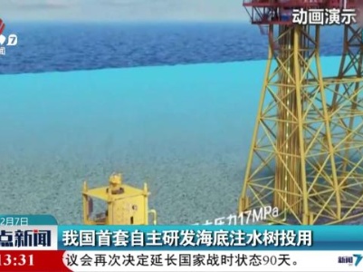 我国首套自主研发海底注水树投用
