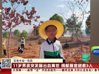 宜春丰城——南昌：11岁男孩突发脑出血离世 捐献器官拯救3人