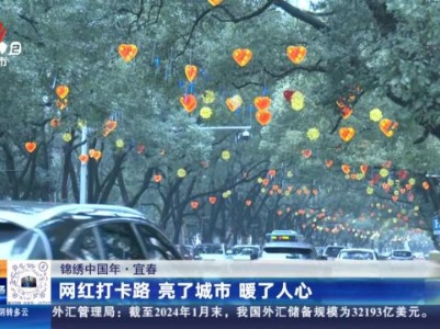 【锦绣中国年】宜春：网红打卡路 亮了城市 暖了人心