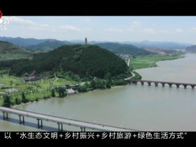 三农头条20240217