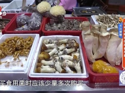 地宝当家20240226