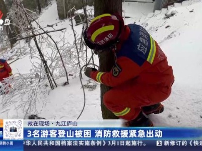 【救在现场】九江庐山：3名游客登山被困 消防救援紧急出动