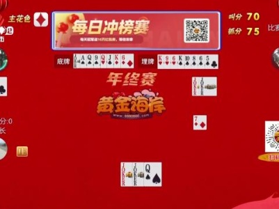 谁是赢家20240211