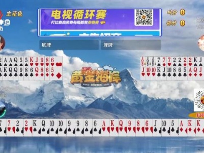 谁是赢家20240205