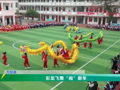 三农头条20240201
