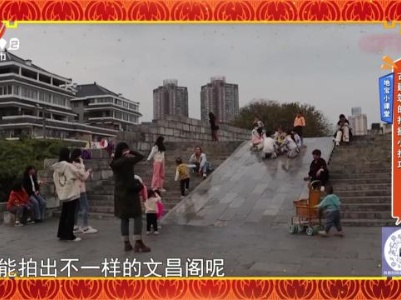 地宝当家20240207