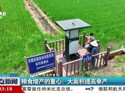 【2024年中央一号文件发布】粮食增产的重心：大面积提高单产