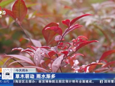 【今天雨水】草木萌动 雨水渐多